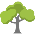 West Des Moines Tree Removal