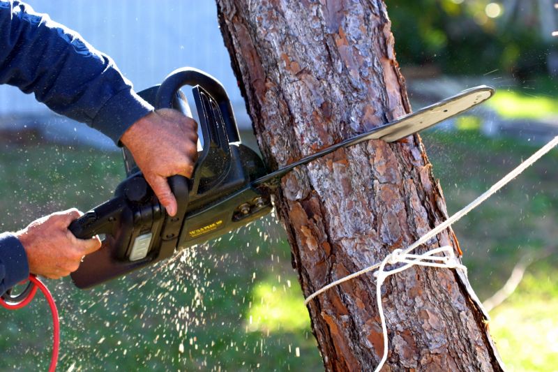 Tree Removal Service in West Des Moines