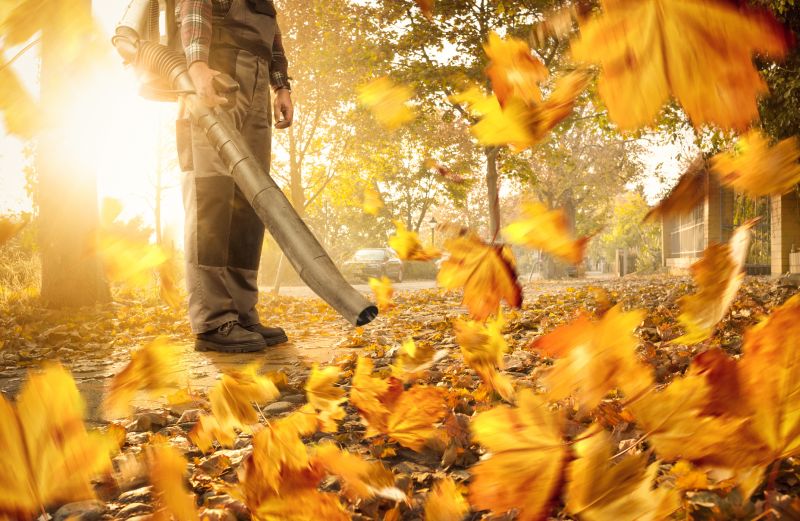 Leaf Blowing for Clear Pathways