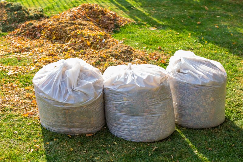 Fall Leaf Removal at Property Edges
