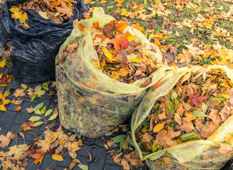 Efficient Leaf Collection Techniques