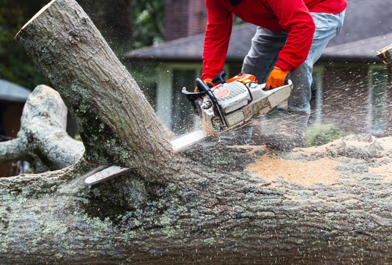 Tree Cutting Tools