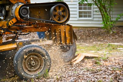 Stump Grinding Results