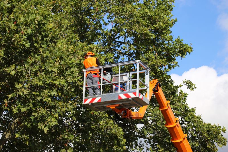 Safety Equipment and Precautions