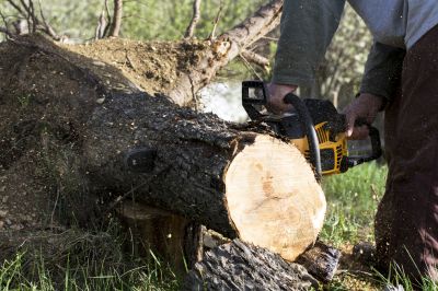 Landscaping Contractors